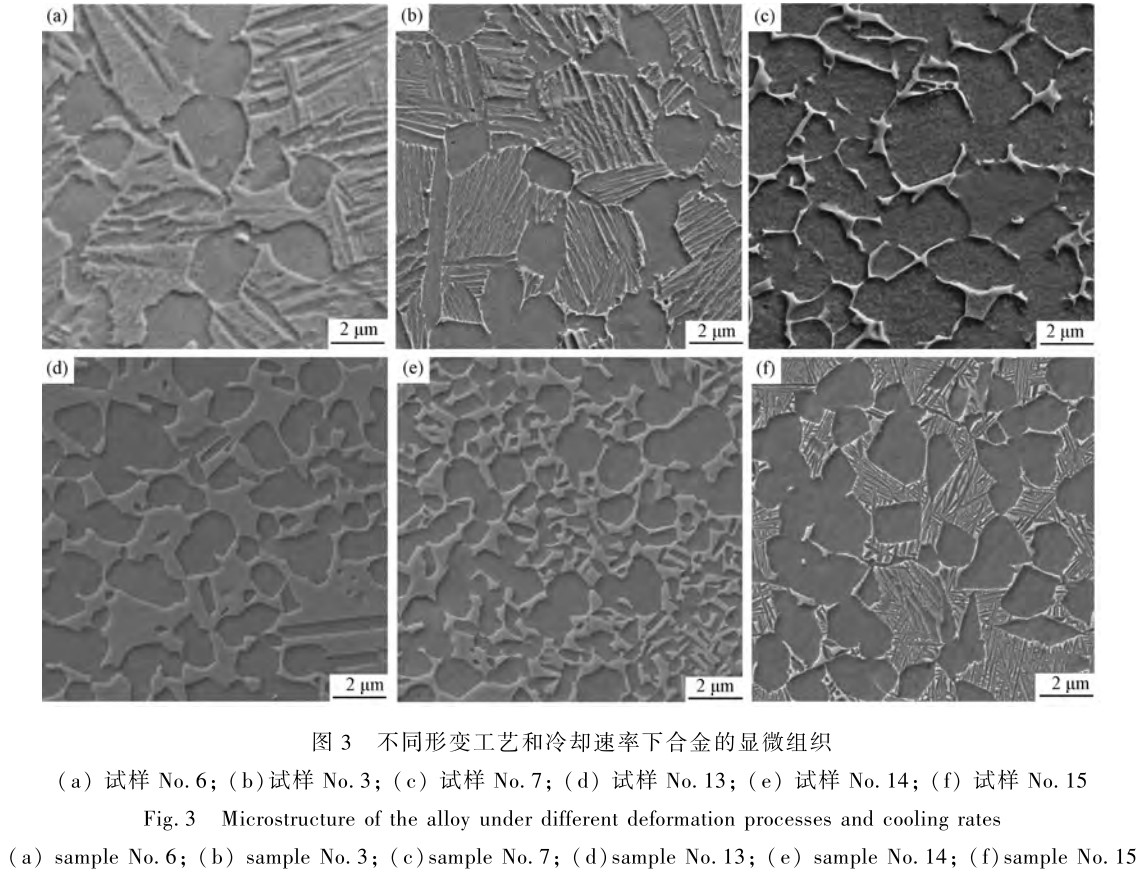 1714132401165313.jpg 未標(biāo)題-4.jpg