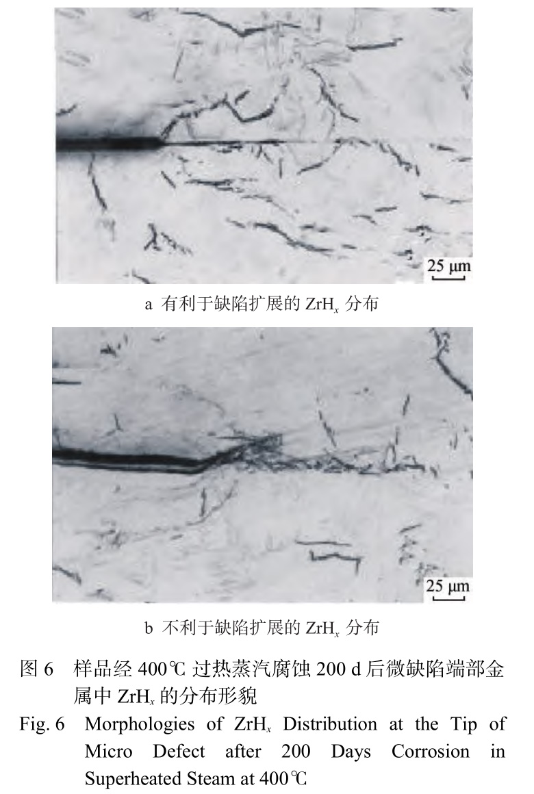 1729481807438867.jpg 6.jpg